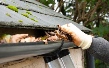 gutter cleaning South Field
